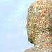 Profile Picture of Graham Friel (@grahamfriel) on Pinterest