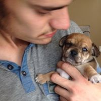 Profile Picture of Joshua Powell (@joshpowelljp) on Pinterest