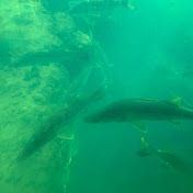 Profile Picture of Erin Walsh (@erinwalsh8014) on Youtube