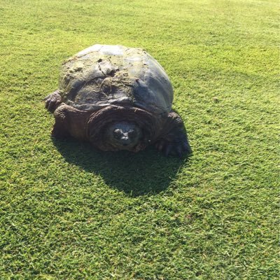 Profile Picture of Ted Mcconnell (@TedMcconnell5) on Twitter