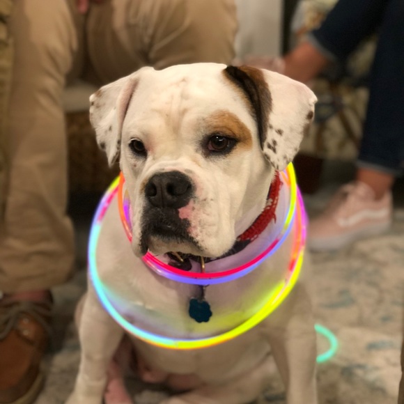 Victor Everingham - Poshmark Profile Picture of Victor Everingham (@veveringham) on Poshmark