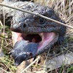 Profile Picture of Alex Humphreys (@alex.humphreys.357) on Instagram