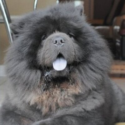 Profile Picture of Jeff Leung (@jeffleung1126) on Twitter
