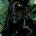 Profile Picture of Derrick Boyd (@derrick.boyd.3766) on Facebook