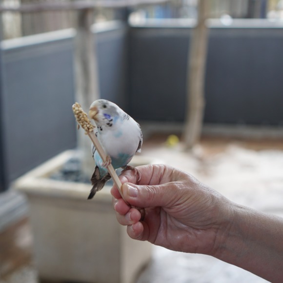 Profile Picture of David Kantrowitz (@davidkantrowitz) on Poshmark