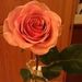 Profile Picture of Vivian Pyle (@vpyle) on Pinterest