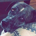 Profile Picture of Hunter Purcell Finsta (@_artist_hunter_finsta) on Instagram