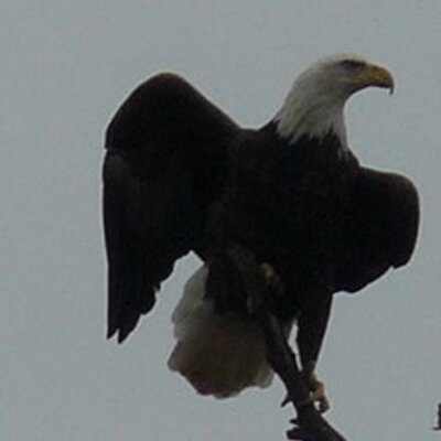 Profile Picture of George Fix (@george_fix) on Twitter