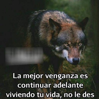 Profile Picture of David Gonzalez Olver (@olver_david) on Twitter