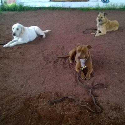 Profile Picture of Leonardo Serrano San (@Leonard875631) on Twitter