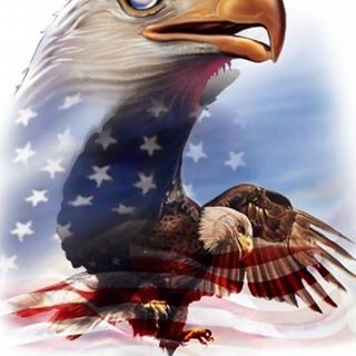 Profile Picture of Leon Haworth (@Leon-Haworth) on Facebook