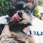 Profile Picture of Tony Mike (@tonymike) on Instagram