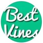 Alexander - Instagram Profile Picture of Alexander (@rewind_vines) on Instagram