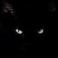 Profile Picture of Jeni Lanningham (@jeni-lanningham-1) on Quora