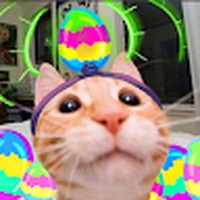 Profile Picture of Valerie Huynh (@valerie-huynh-11) on Quora