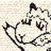 Profile Picture of lam(b)chop (@lam(b)chop) on Flickr