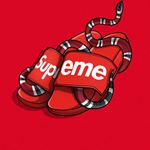 Profile Picture of bradyn._.redden (@bradyn._.reddenn) on Instagram