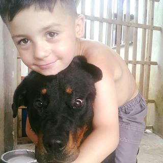 Profile Picture of Gustavo Carillo (@gustavo.carillo.1217) on Facebook