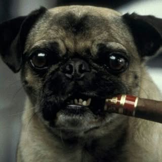 Profile Picture of lisa (@lisaschwer1) on Instagram