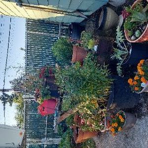 Profile Picture of edwardmckinney413 (@edwardmckinney413) on Tiktok