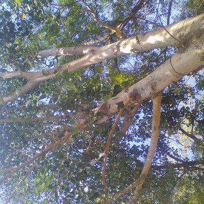 Profile Picture of Dhananjay Pandit (@dhananj53699496) on Twitter