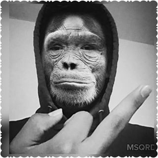 Profile Picture of Jonathan Reus (@Jonathan-Reus) on Facebook