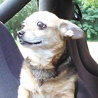 Profile Picture of Barbara Daniel (@barbara-daniel-5) on Quora