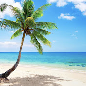 Profile Picture of Liz Jellema (@lizjellema8086) on Youtube