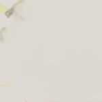 Profile Picture of Brian Fritz (@brian.fritz.04) on Instagram