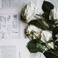 Profile Picture of Catherine Baer (@catherine-baer-1) on Quora