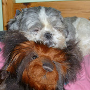 Profile Picture of Darrin Thomas (@darrinthomas5995) on Youtube