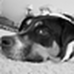 Profile Picture of Colinandrachael Gates (@colin_rachael) on Flickr