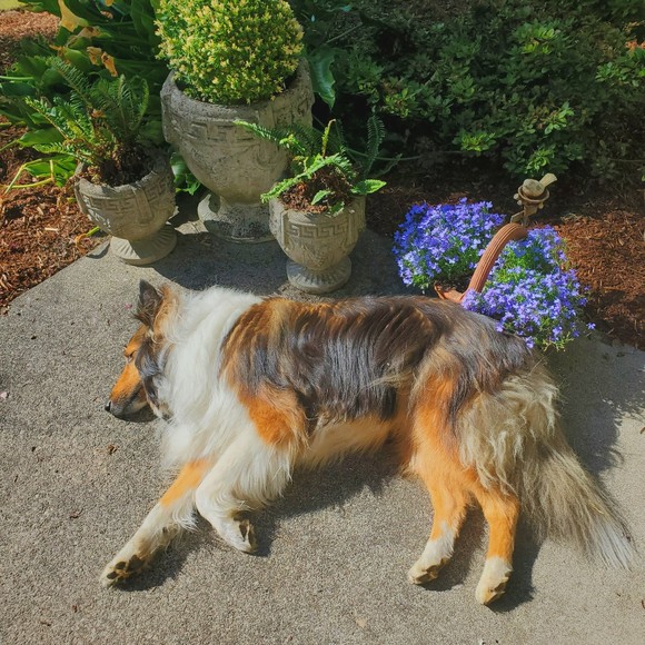 Anna Cernava - Poshmark Profile Picture of Anna Cernava (@anna_cernava) on Poshmark