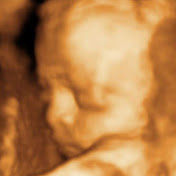 Profile Picture of Lee And Jeremy Blain (@leeandjeremyblain3508) on Youtube