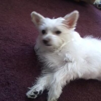 Profile Picture of James Marcotte (@Fiat218) on Twitter