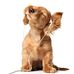 Profile Picture of Robert Swartzlander (@robert.swartzlander.904) on Facebook
