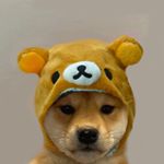 Profile Picture of jackson (@su_nnies) on Instagram