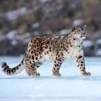 Profile Picture of Everlyn Jackson (@Everlyn-Jackson) on Facebook