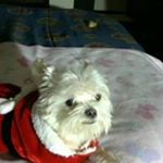 Profile Picture of Debra Spring (@spring.debra) on Instagram