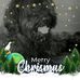 Profile Picture of Doug Humphries (@doug.humphries.562) on Facebook