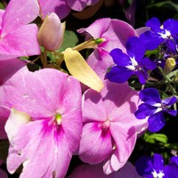 Profile Picture of Erik Kendall (@erik-kendall) on Quora