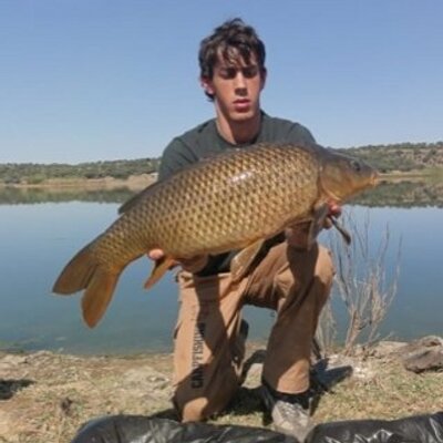 Profile Picture of Jacobo Muñoz (@Jaco_delaRosa) on Twitter