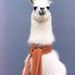 Profile Picture of Paula Gabriela (@vingtetrois) on Pinterest