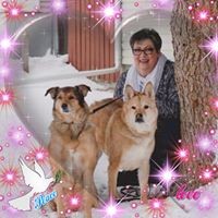 Profile Picture of Lori Pitcher (@lori-pitcher-1) on Quora