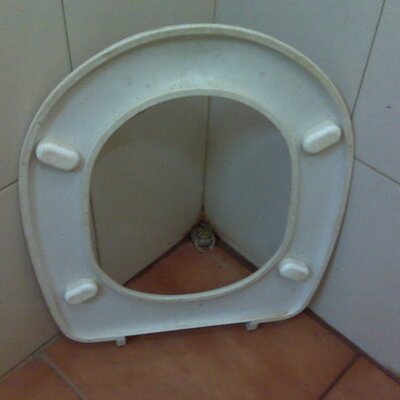 Profile Picture of Randall Richardson (@RandyGR) on Twitter