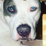 zachary - Instagram Profile Picture of zachary (@zacheverhart2005) on Instagram