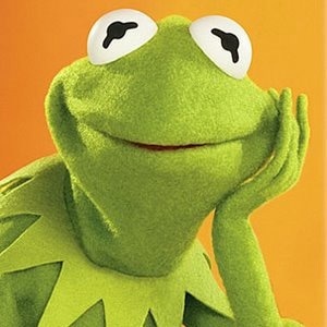 Profile Picture of Kermit (@user25613596) on Tiktok