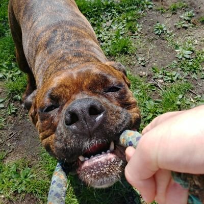 Profile Picture of Jacob Pursley (@Jacob79231035) on Twitter