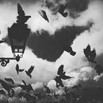 Cicatrici sulle braccia🔚 - Instagram Profile Picture of Cicatrici sulle braccia🔚 (@_tagli.nel.buio_) on Instagram