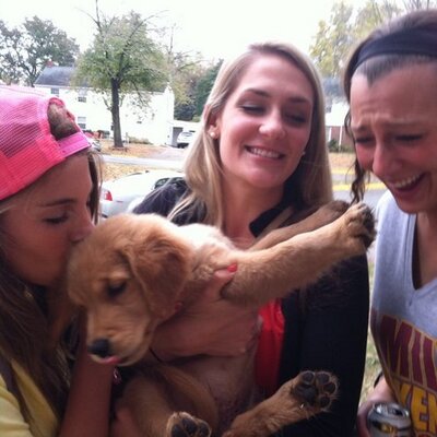 Profile Picture of Julia Loyd (@julialoyd) on Twitter
